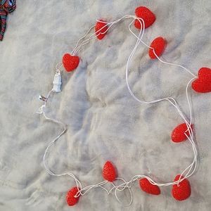 Valentine's lights